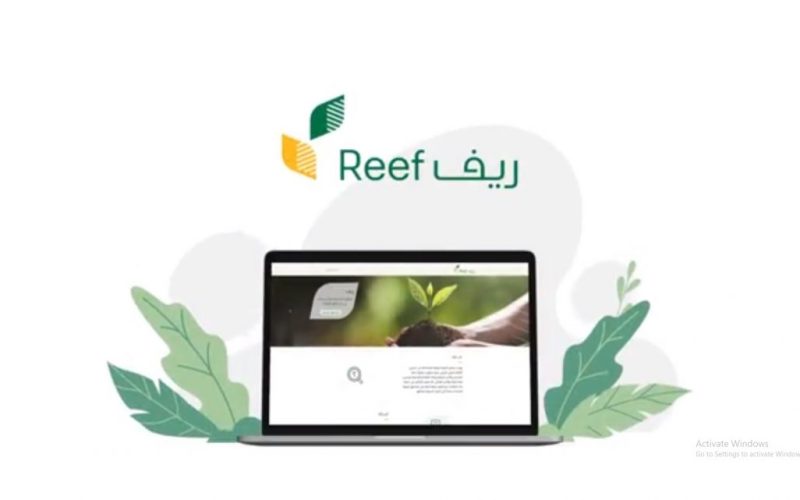 شروط القبول في برنامج “ريف” ومدة دراسة الطلب للمستفيدين الجدد