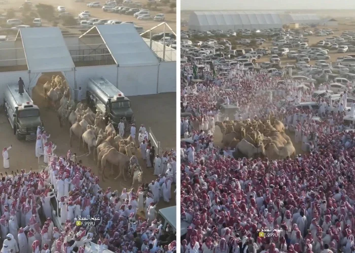 مهرجان جادة الإبل: لقطات جوية لمشاركة غازي الذيابي في مسيرة شقح النصر