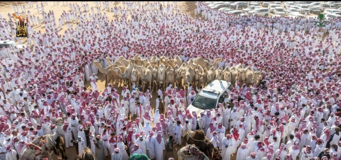 نتائج مثيرة في مهرجان “جادة الإبل”: فوز شقح النصر بلقب فئة “جمل 30 – شقح”